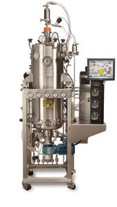 BioFlo 610 試量產級原地滅菌型醱酵槽(65 & 125 L)