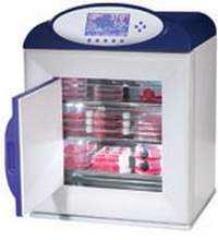 二氧化碳培養箱